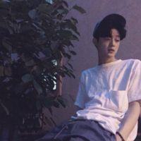 城 對我的問題，你始終，