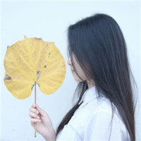 走马 我们不停寻觅的结局，