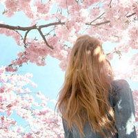 人生本就浮云一片，强