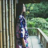 清风 我本是不起眼的一个人