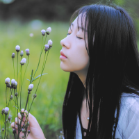 明明想说怀念不如相见