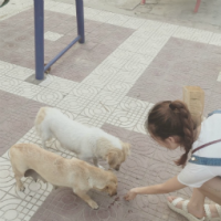 战磕稳场王 当我对你越来越礼貌时