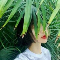 爱短发 真爱和现实残酷撕裂的