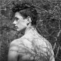 European and American male. 你是我孤单里最妖娆的
