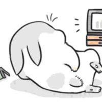 几兔表情特辑の 人生是有了不能忘记的