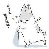 几兔表情特辑の 人生是有了不能忘记的