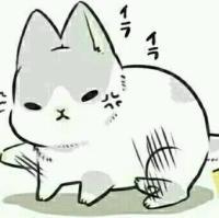 几兔表情特辑の 人生是有了不能忘记的