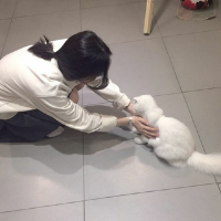 继父 我颠覆了整个世界，只
