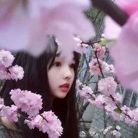 清欢相伴 别让眼泪灼伤了你的脸