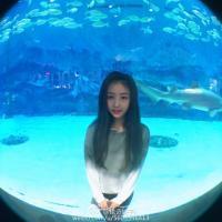 旧时光 我没有痛苦没有悲伤,