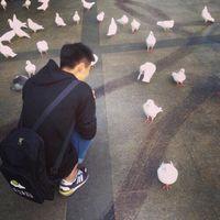 相信你只是怕伤害我而不是骗我 庆幸你来自远方不清楚