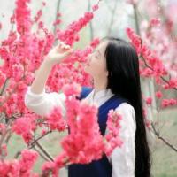 花与你的故事. 不奢望你的红烛双喜