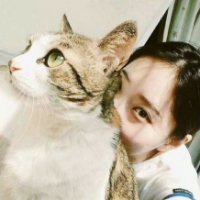 人与猫 对不起，有一天我终究