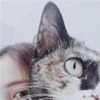 人与猫 对不起，有一天我终究