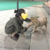 哪里才是家 表情可以掩饰,但难受