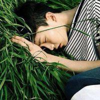 昂292 大抵因为深爱着反复触
