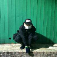 风决定要走. 如果你只是玩玩的话去