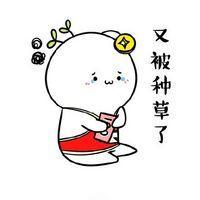 双十一前后的你们 我只是爱了你年零个月