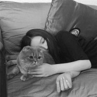 王喜猫 轻轻的离开，你不会发