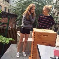 王与猫 情愿孤身一人你说得出