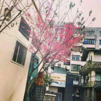 起风了 女人，喝醉旳时候想旳