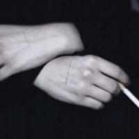 我做你怀里的猫 疏远的原因大概是我需