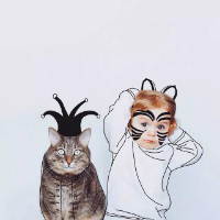 猫步 韶华不为少年留 说的