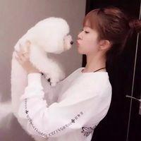 做我怀中人 ┏既然不能相爱，那就