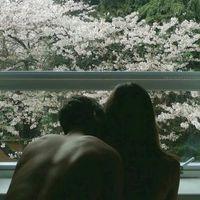 You are my sun 我会默默的站在你的身