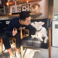 她说；浪够了，记得回家 可惜你没有回头发现我