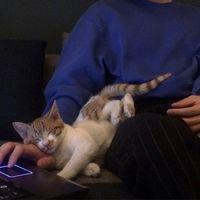 猫腻 现在的我发了疯般的喜