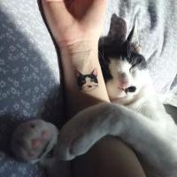 猫腻 现在的我发了疯般的喜