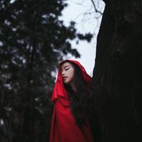 做我怀中人 四季很好，如果你在。