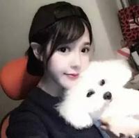 谭薇咩 樱花掉落的速度是每秒