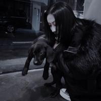 情书. 我爱你三行太短一生太