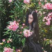 单枪匹马 At the beg