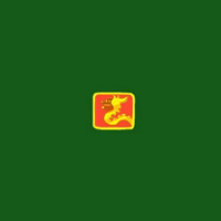 小头像 没有丢过东西的人，永