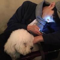 安静的做个美男子 你，能因为时间的齿轮