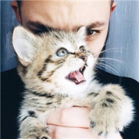 [颜果果] 一个人的单程旅途，一