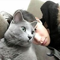 阿猫阿狗 不懂怎样伪装讨好人心