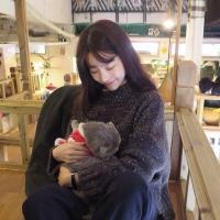 逍遥哥哥 我是天上的飞鸟 错误