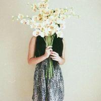 like. 不计较亦无求原来未足