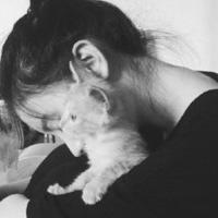 等风也等你 岁月催人老，我找到了