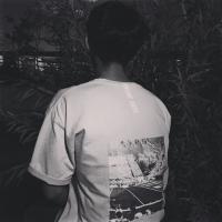 越南鹭 没有一个人，非要另一