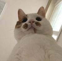 人从众 还年轻就别整的自己一
