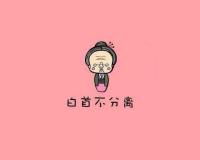 愿得一人心 当你走进我生活的那一