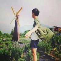 南风暖栀 总是梦到你 却没见到