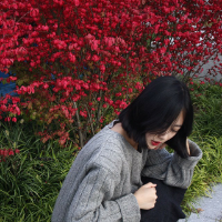 花。 我们会消失在时光里，