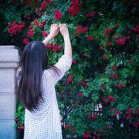 花。 我们会消失在时光里，
