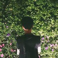 对的时间对的人 对的故事对的你. 我终究不是你最爱的那